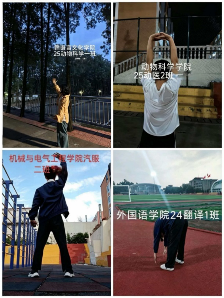 图片2 图片2